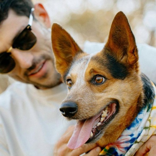 a person holding a dog