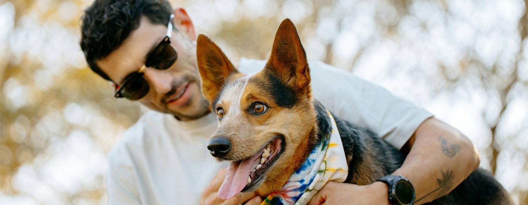 a person holding a dog