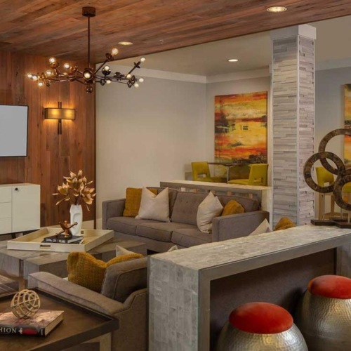 a lounge and a media area with couches