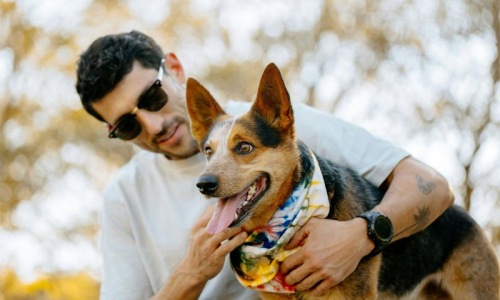 a person holding a dog